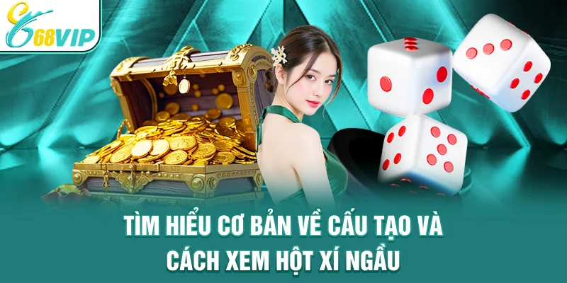 Tìm hiểu cơ bản về cấu tạo và cách xem hột xí ngầu