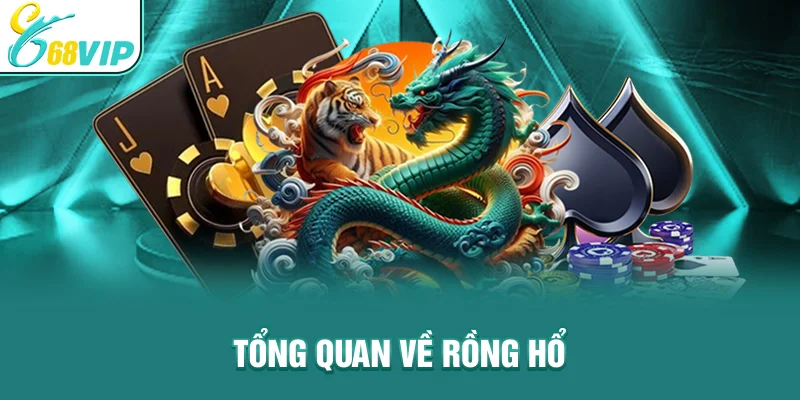 Tổng quan về rồng hổ